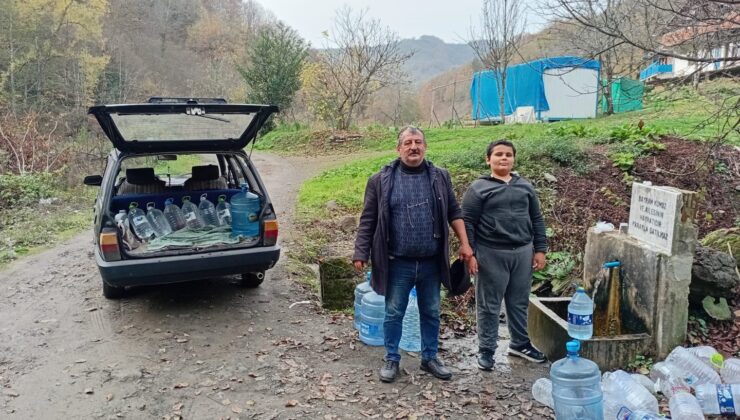 Bu su böbrek taçlarına iyi geldiği söyleniyor
