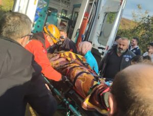 Köy muhtarı 30 metrelik yükseklikten düşerek yaralandı