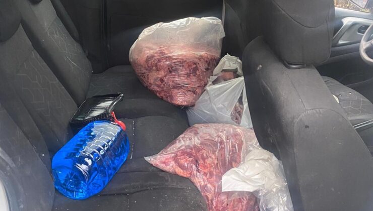 Devrek’te 450 kilo bozulmuş et imha edildi