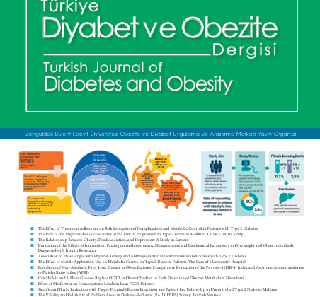 Türkiye Diyabet ve Obezite Dergisi’nin 2025 Aralık Sayısı Yayımlandı