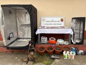 Çaycuma’da jandarmadan uyuşturucu serasına baskın: 2 tutuklama