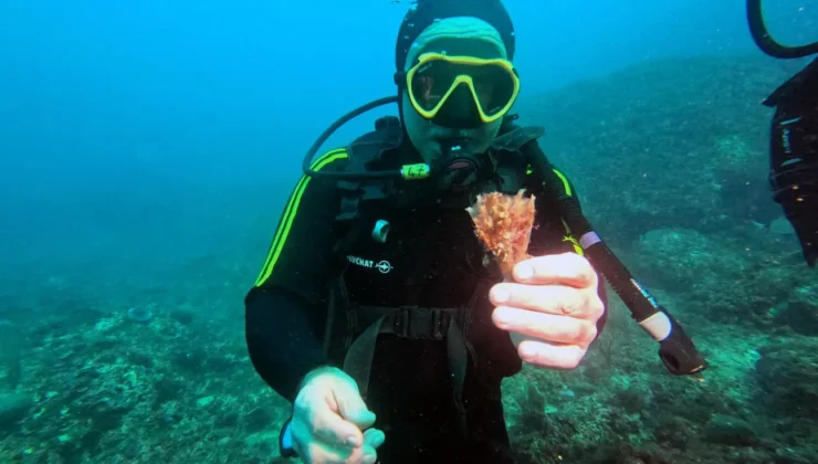 Marsilya’da deniz koruma alanı örnek oldu