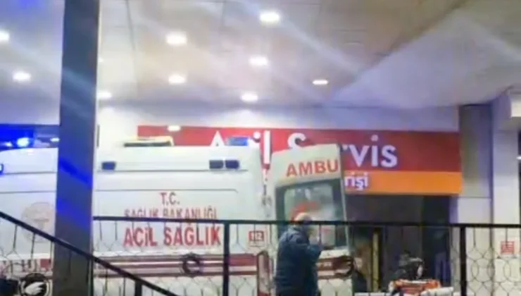 Ormanda kaza kurşunuyla vuruldu